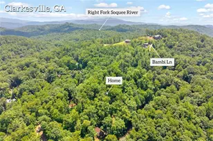 185 Pope Dickson Ln, Clarkesville, GA 30523 - Photo 3