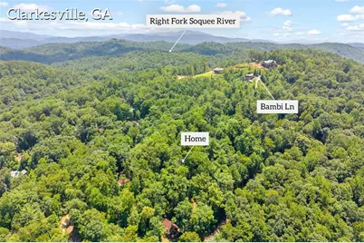 185 Pope Dickson Lane, Clarkesville, GA 30523 - Photo 3