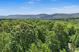 383 Rustic Barn Trail, Morganton, GA 30560 - Photo 75