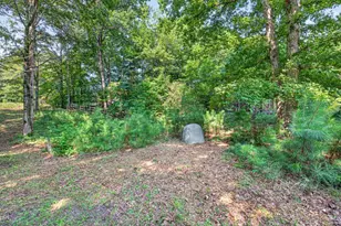 27 Hawks Farm Rd, White, GA 30184 - Photo 63