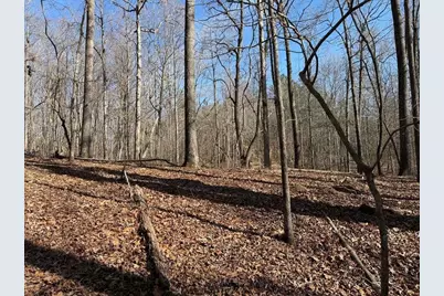 131 Nicholson Lane, Talking Rock, GA 30175 - Photo 3
