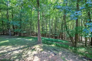149 Long Swamp Dr, Jasper, GA 30143 - Photo 31
