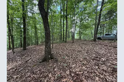 Lot 10 Mayfield Lane, Ranger, GA 30734 - Photo 9