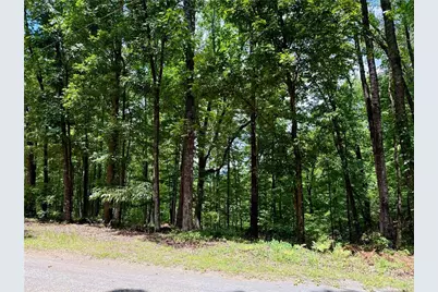 Lot 10 Mayfield Lane, Ranger, GA 30734 - Photo 7
