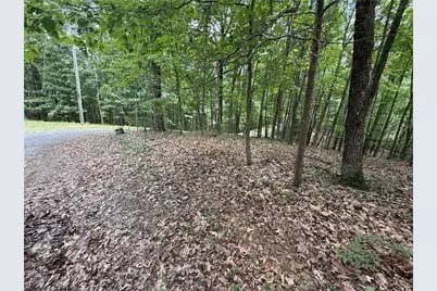 Lot 10 Mayfield Lane, Ranger, GA 30734 - Photo 3