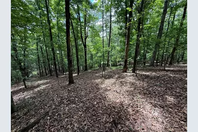 Lot 10 Mayfield Lane, Ranger, GA 30734 - Photo 13