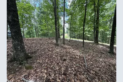 Lot 10 Mayfield Lane, Ranger, GA 30734 - Photo 11