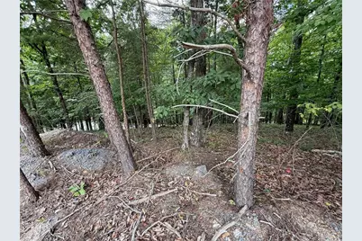 Lot 7 Stirratt Road, Ranger, GA 30734 - Photo 13
