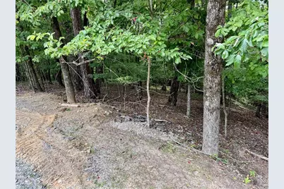 Lot 7 Stirratt Road, Ranger, GA 30734 - Photo 11