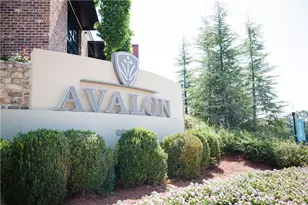 235 Midnight Oak Run, Alpharetta, GA 30009 - Photo 61