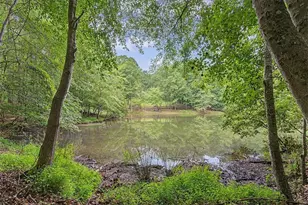 590 S Alexander Creek Rd, Newnan, GA 30263 - Photo 47
