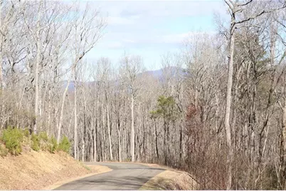 179 Trailwood Drive, Ellijay, GA 30536 - Photo 17
