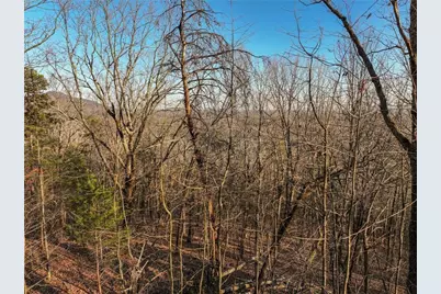 Lot 1 Mount Mincie Road, Murrayville, GA 30564 - Photo 13
