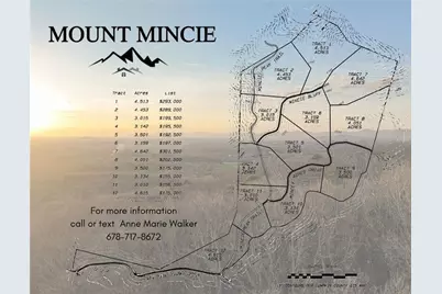 Lot 2 Mount Mincie Road, Murrayville, GA 30564 - Photo 27