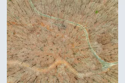 Lot 3 Mount Mincie Road, Murrayville, GA 30564 - Photo 19