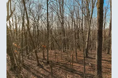 Lot 4 Mount Mincie Road, Murrayville, GA 30564 - Photo 7