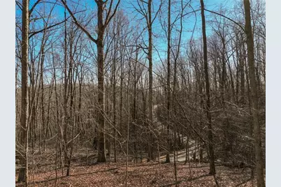 Lot 5 Mount Mincie Road, Murrayville, GA 30564 - Photo 11