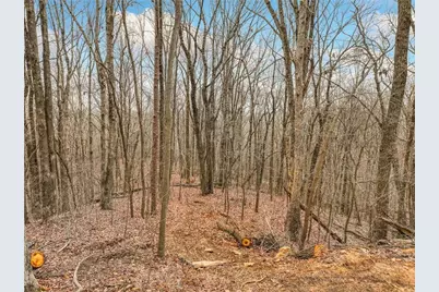 Lot 5 Mount Mincie Road, Murrayville, GA 30564 - Photo 7