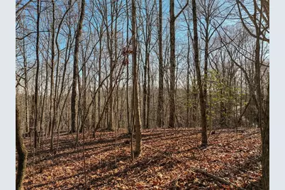 Lot 5 Mount Mincie Road, Murrayville, GA 30564 - Photo 13