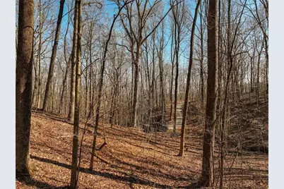 Lot 6 Mount Mincie Road, Murrayville, GA 30564 - Photo 13