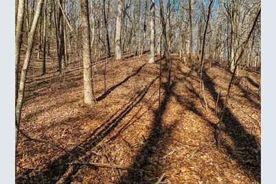 Lot 6 Mount Mincie Road, Murrayville, GA 30564 - Photo 7