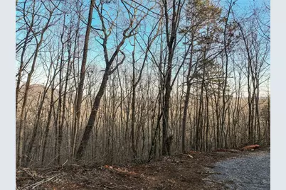 Lot 7 Mount Mincie Road, Murrayville, GA 30564 - Photo 27
