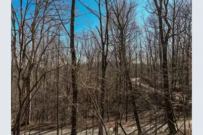 Lot 8 Mount Mincie Road, Murrayville, GA 30564 - Photo 11