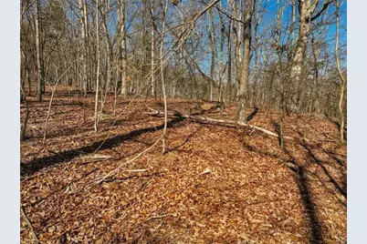 Lot 8 Mount Mincie Road, Murrayville, GA 30564 - Photo 7