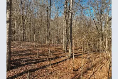 Lot 9 Mount Mincie Road, Murrayville, GA 30564 - Photo 15