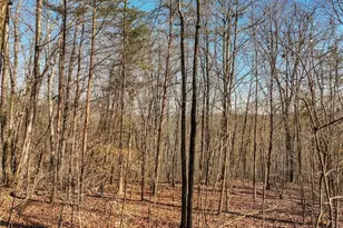 Lot 9 Mount Mincie Rd, Murrayville, GA 30564 - Photo 1