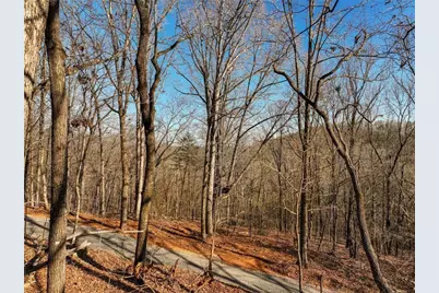 Lot 11 Mount Mincie Road, Murrayville, GA 30564 - Photo 25