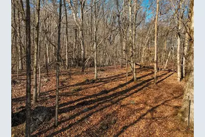 Lot 11 Mount Mincie Road, Murrayville, GA 30564 - Photo 21