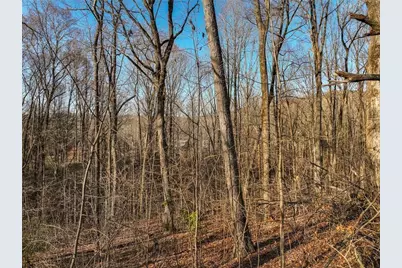Lot 12 Mount Mincie Road, Murrayville, GA 30564 - Photo 21