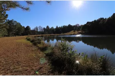 100 Pond Overlook Lane, Morganton, GA 30560 - Photo 31