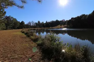 100 Pond Overlook Ln, Morganton, GA 30560 - Photo 31