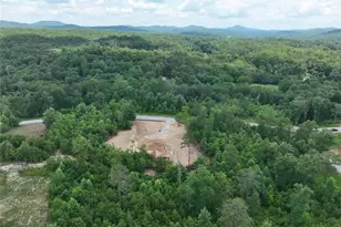 02 Blue Mountain Rd, Morganton, GA 30560 - Photo 25
