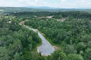 02 Blue Mountain Rd, Morganton, GA 30560 - Photo 21