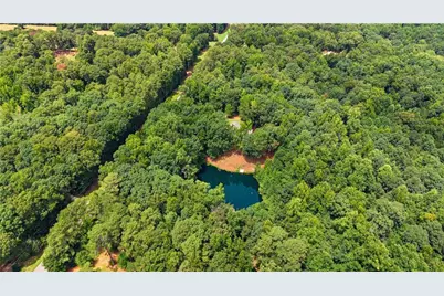 3736 Airline Road, McDonough, GA 30252 - Photo 37