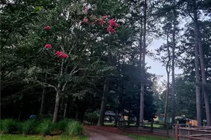 1371 Lipscomb Rd, Social Circle, GA 30025 - Photo 69