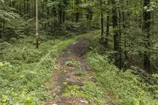 6733 Hwy 155 N, Stockbridge, GA 30281 - Photo 13
