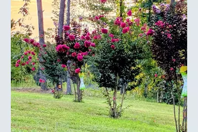 287 Bell Loop, Chatsworth, GA 30705 - Photo 45