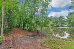 50 Ridge Pointe, Stockbridge, GA 30281 - Photo 35