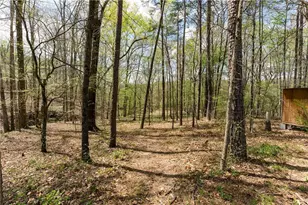 401 Blossom Trl, Acworth, GA 30101 - Photo 73