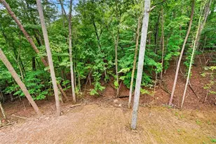 579 Julep Ct, Ellijay, GA 30540 - Photo 25