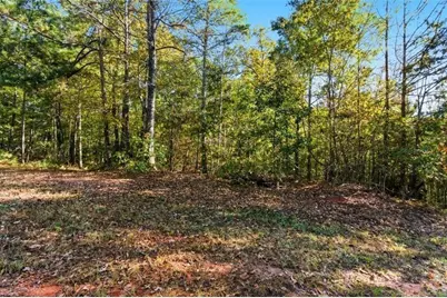 7794 Gusty Trail, Douglasville, GA 30135 - Photo 3