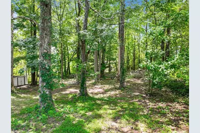 3918 Sherwood Drive, Douglasville, GA 30135 - Photo 21