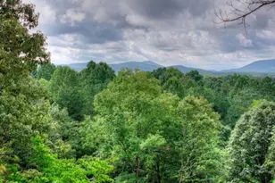 214 Ethan Wilson Way, Morganton, GA 30560 - Photo 47