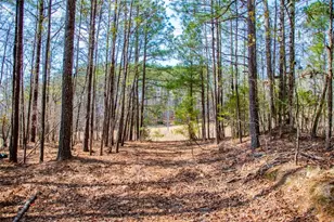 3940 Clinton Ct, Villa Rica, GA 30180 - Photo 1