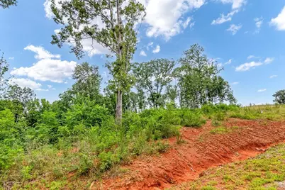 1084 Highgrove Drive, Talking Rock, GA 30175 - Photo 19