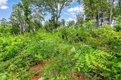 1084 Highgrove Drive, Talking Rock, GA 30175 - Photo 25